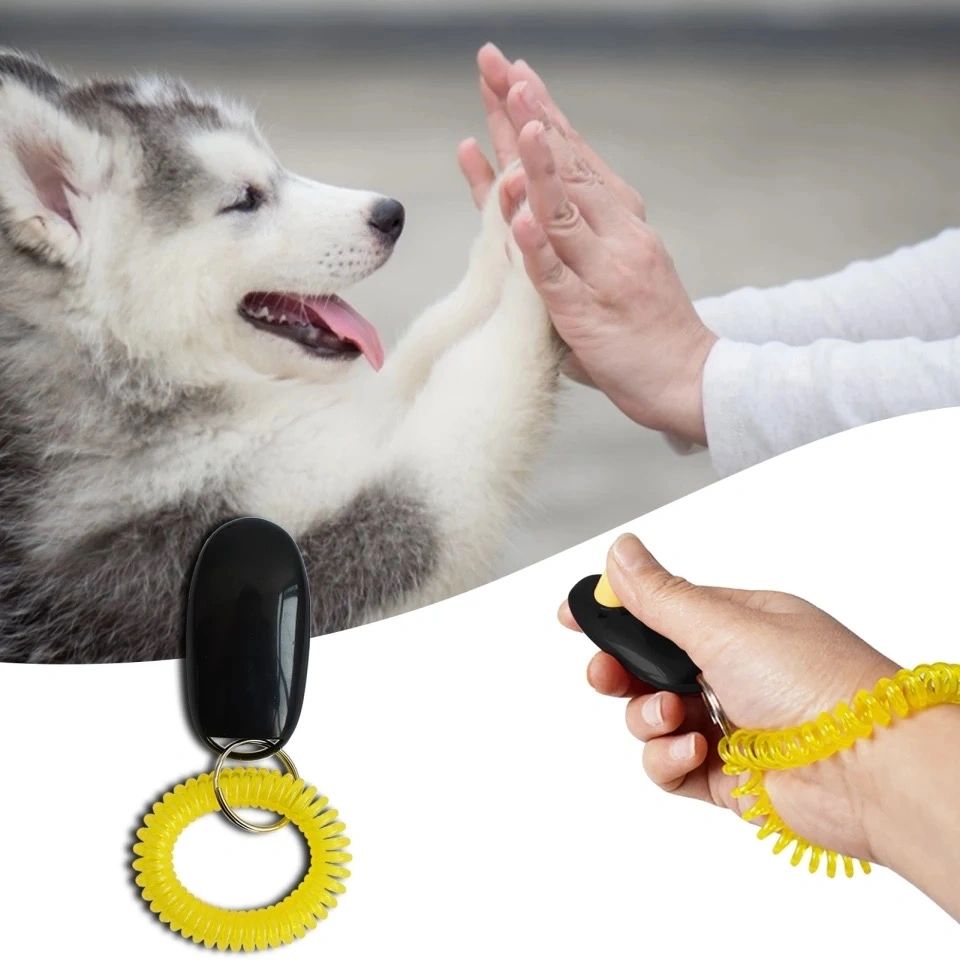 Dog Training Clicker