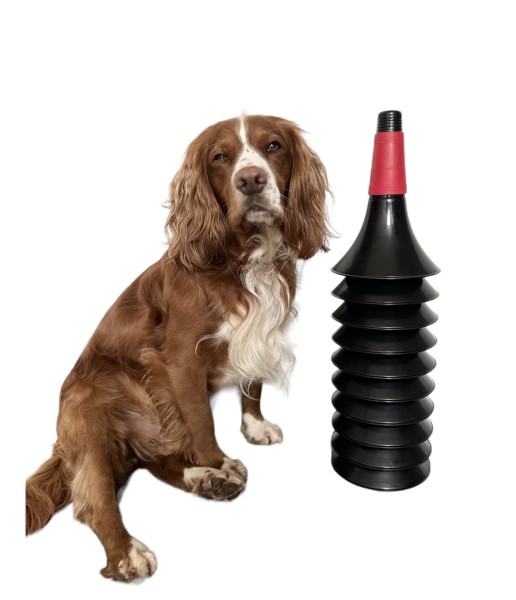 Black & Red Training Cones