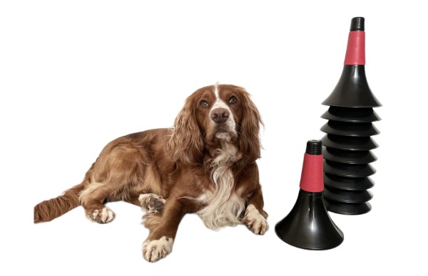 Black & Red Training Cones