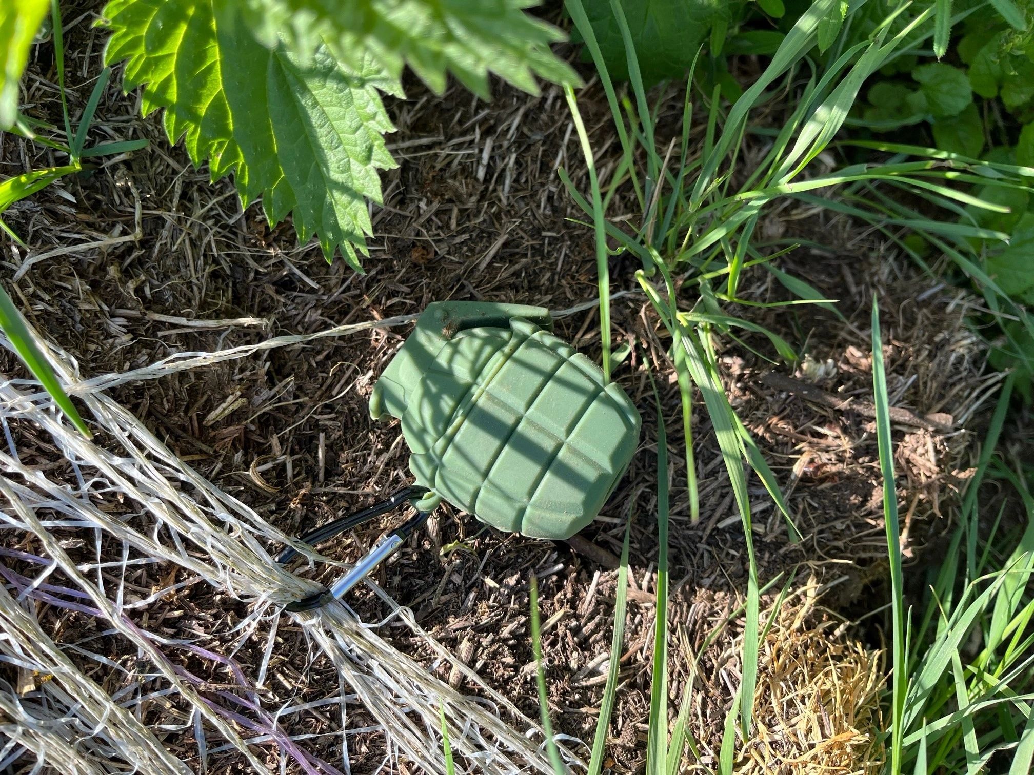 Grenade Pod with Carabiner Clip