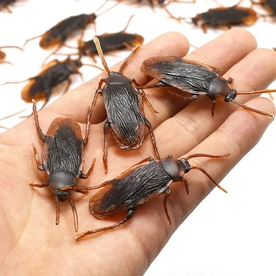 Halloween Cockroaches PK 12