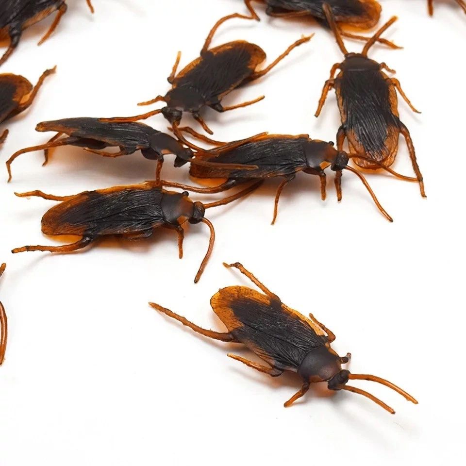 Halloween Cockroaches PK 12