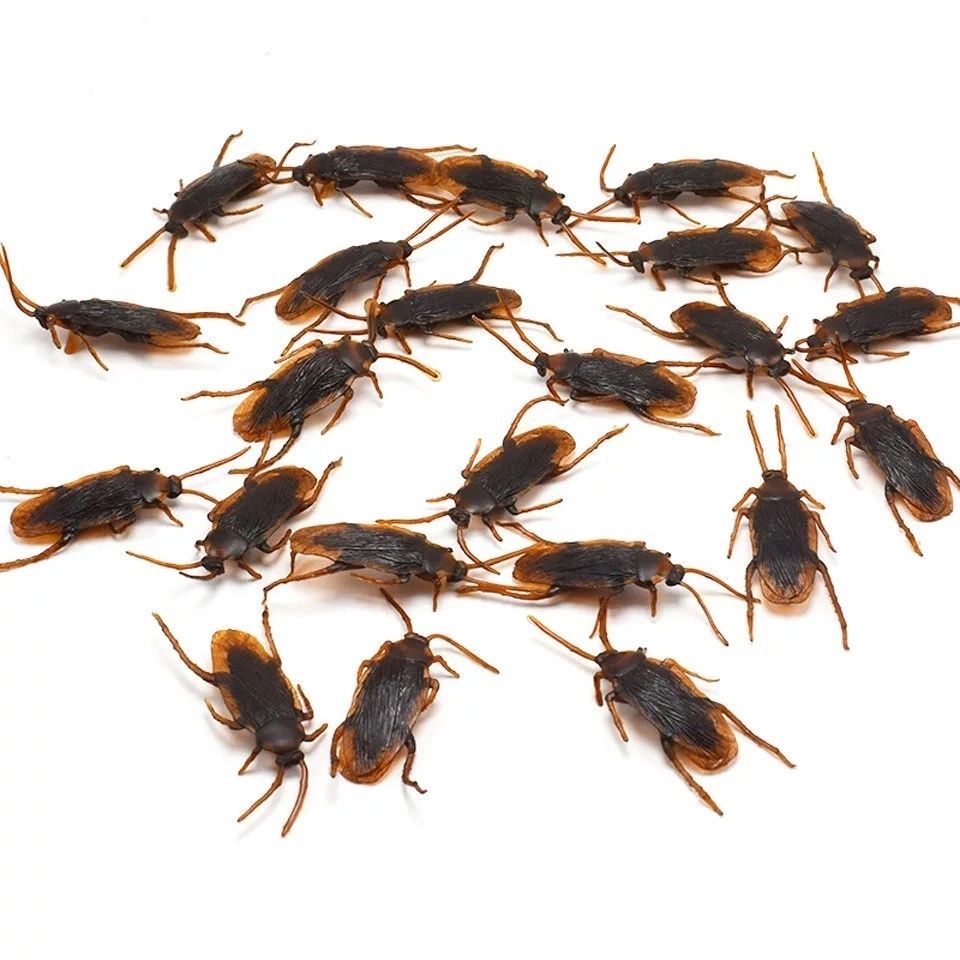 Halloween Cockroaches PK 12