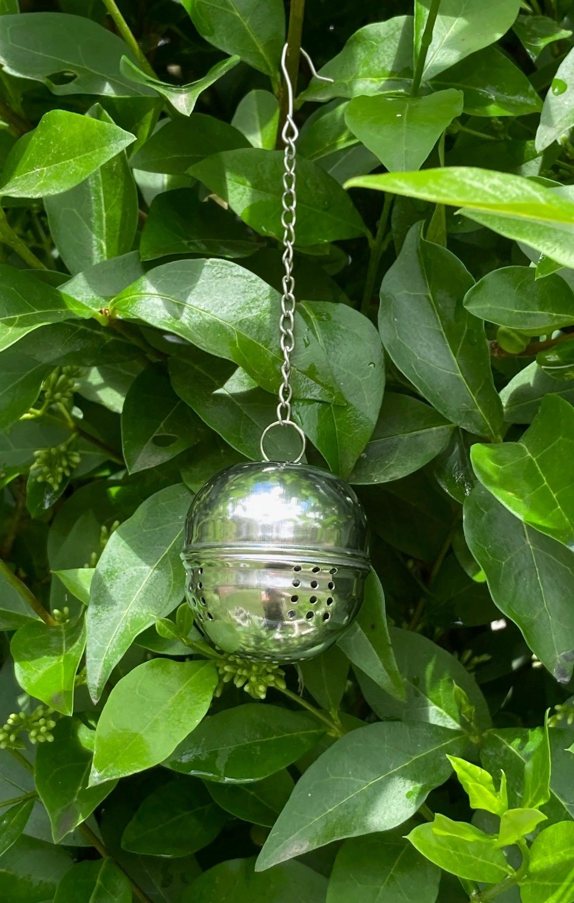 Hanging Scent Pod