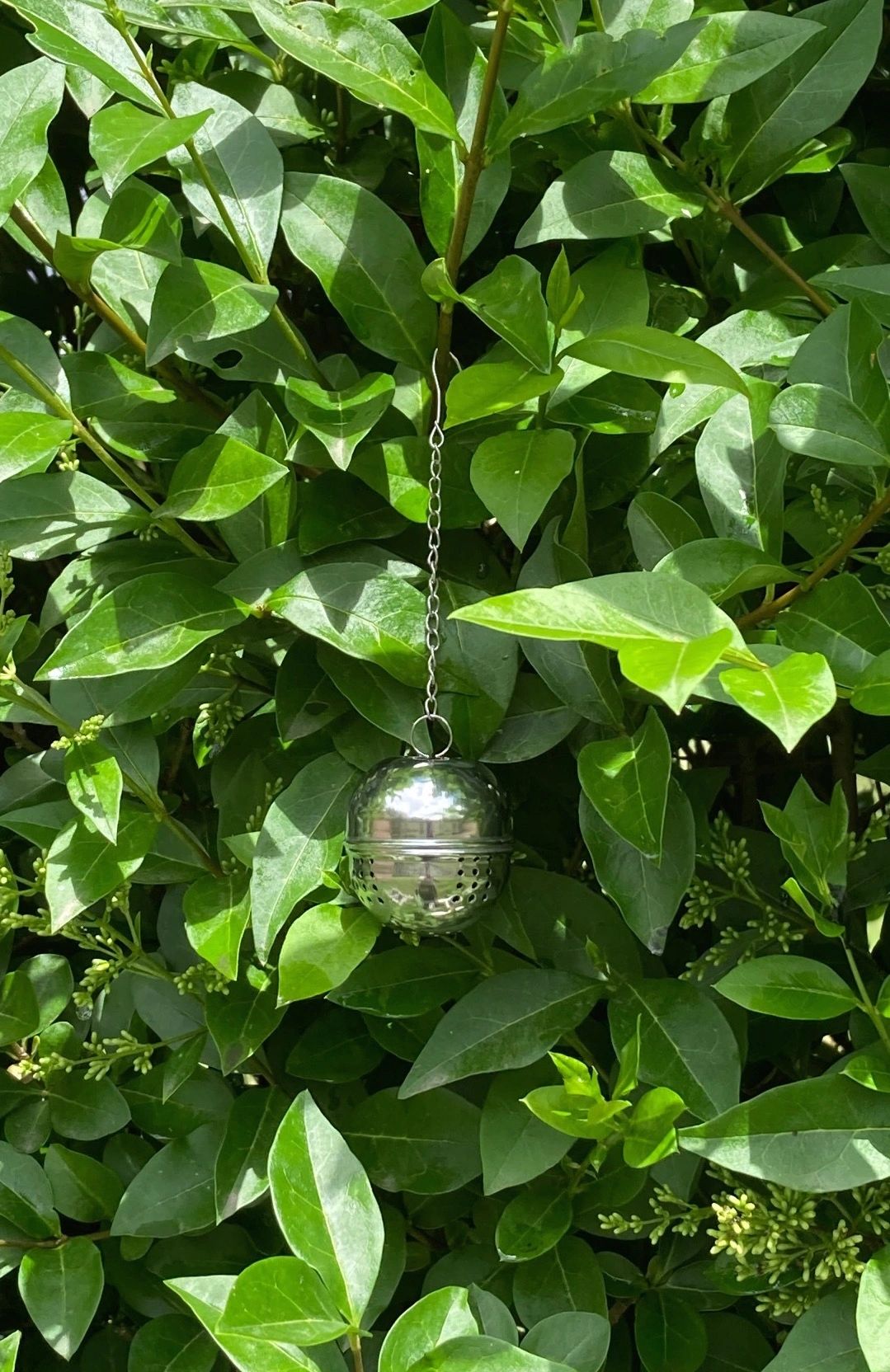 Hanging Scent Pod