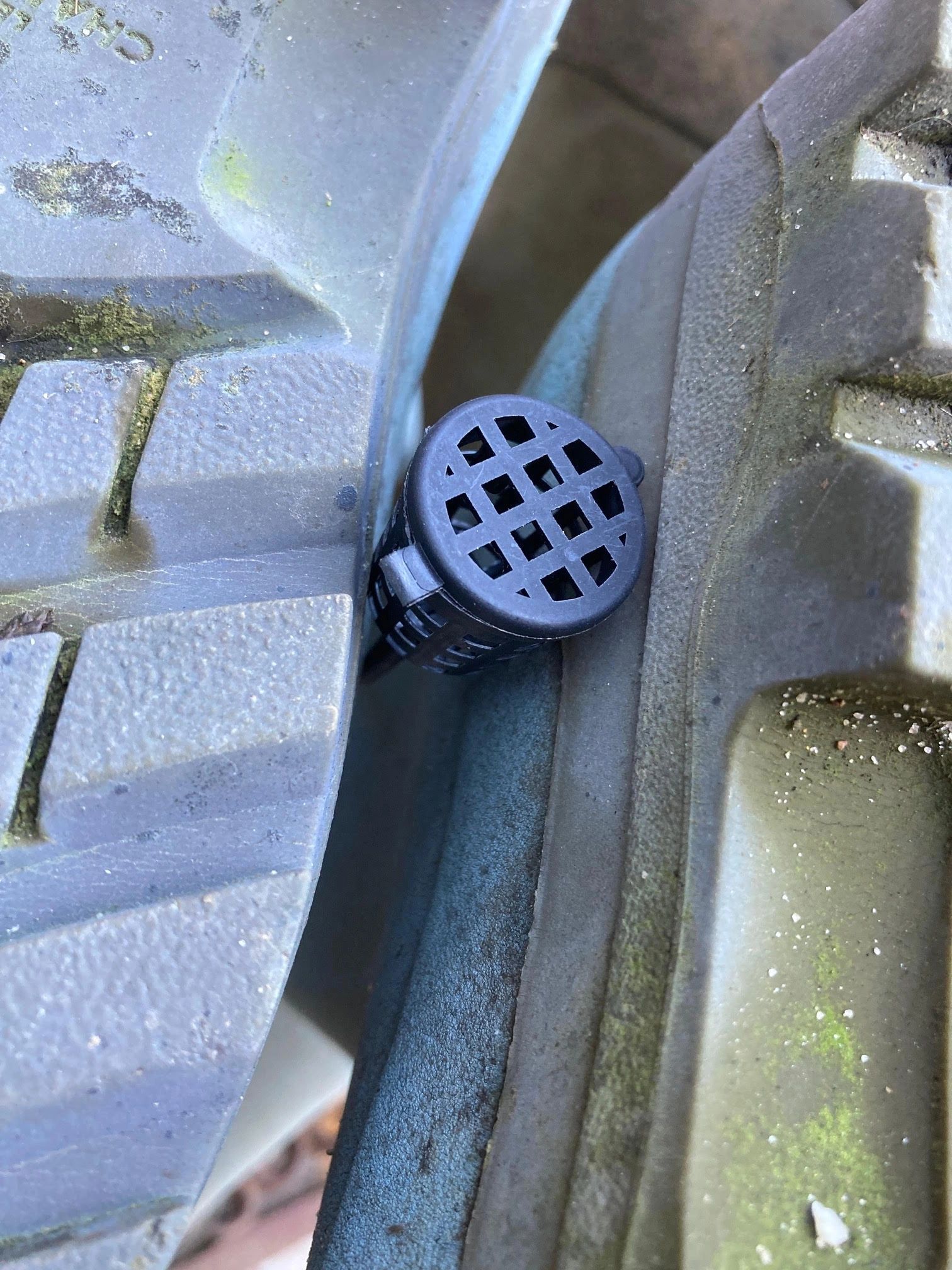Mini Scent Stakes