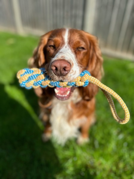 Rope Toy with Handle