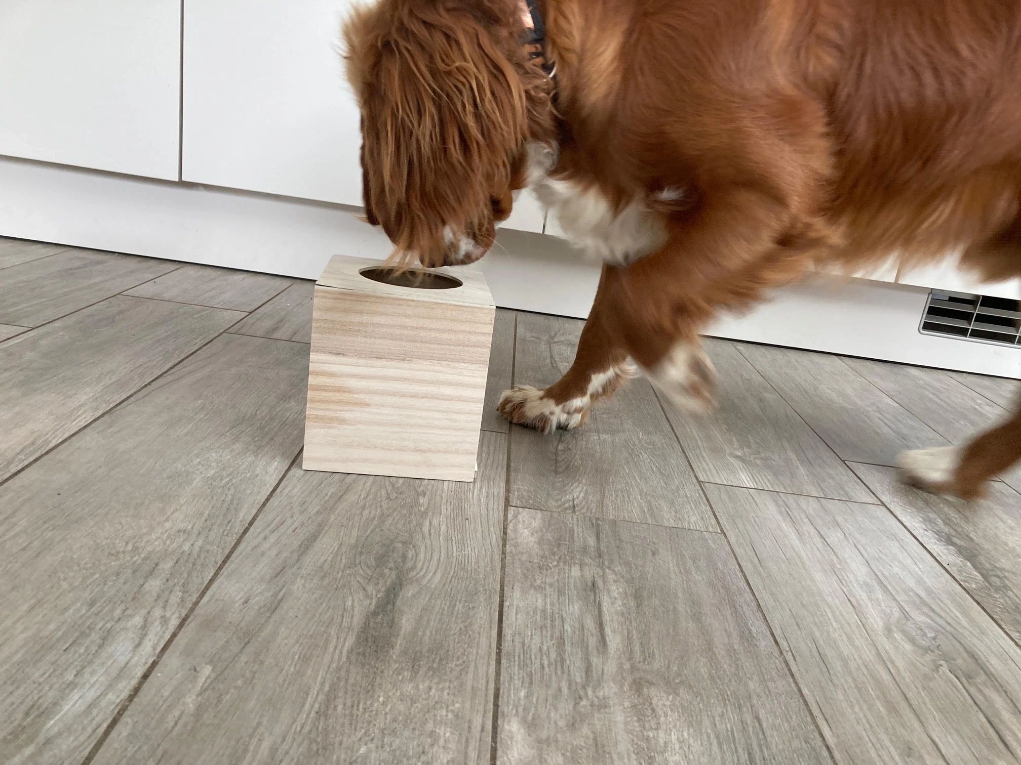 Wooden Scent Boxes scentwork sniffer dogs k9 nose work linear kong napier gun oil