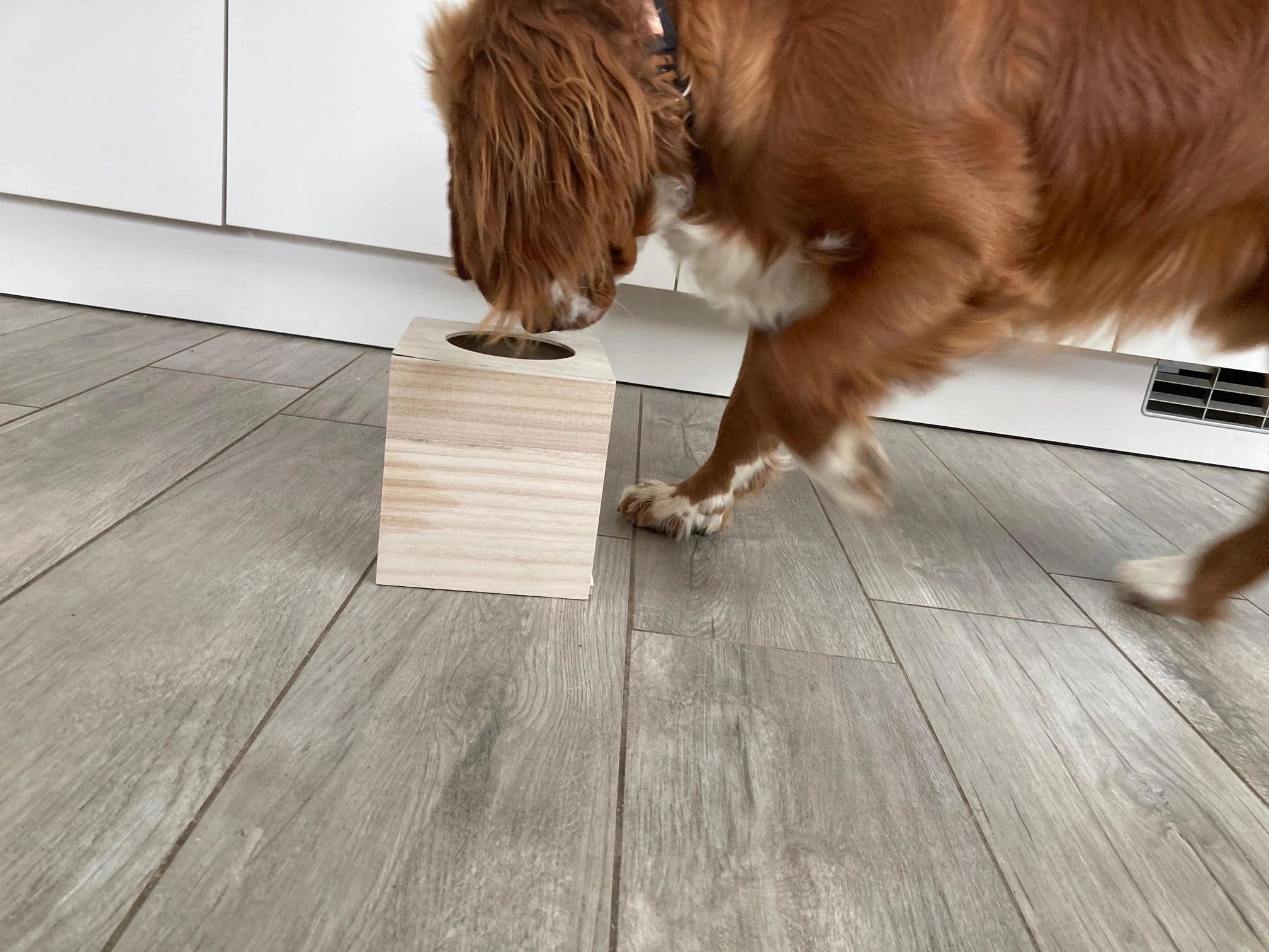 Wooden Scent Boxes