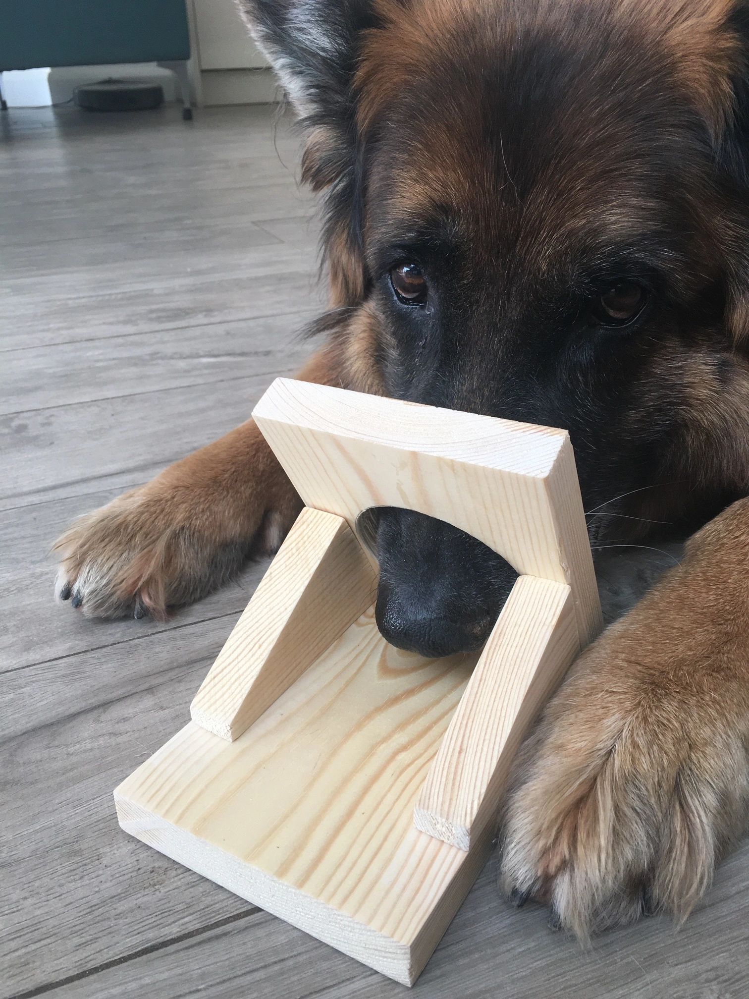 Wooden Scent Trainer